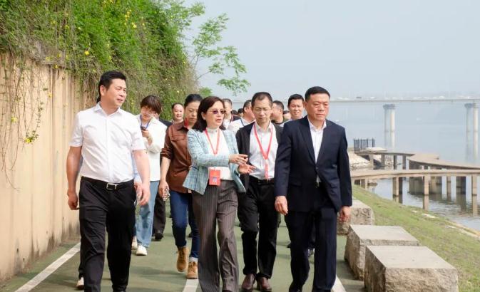 区人大常委会观察全区防汛应急任务