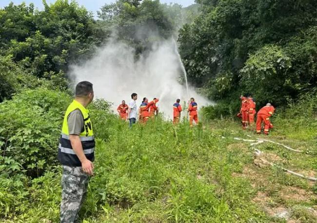 守好绿色故里|铁山坪街道踏实做好丛林防火任务